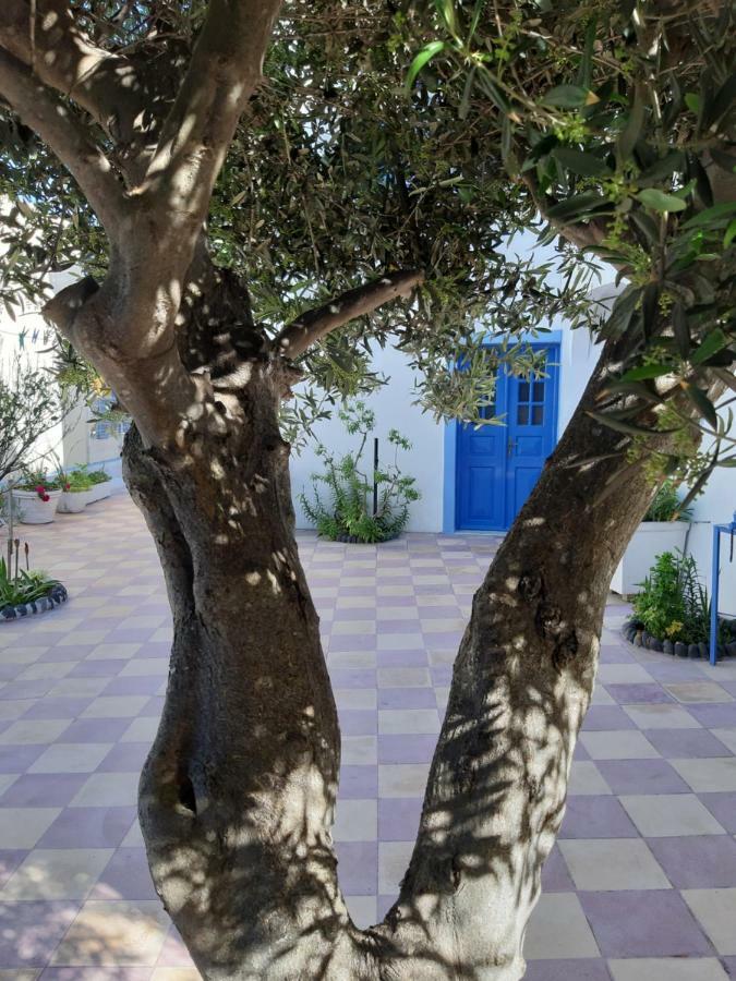 Katerina Kafieri Apartments Firostefani Dış mekan fotoğraf